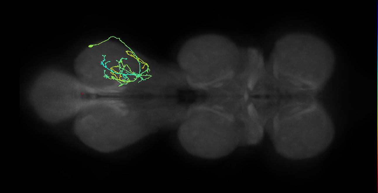 IN09A023_T3_R (MANC:163006)