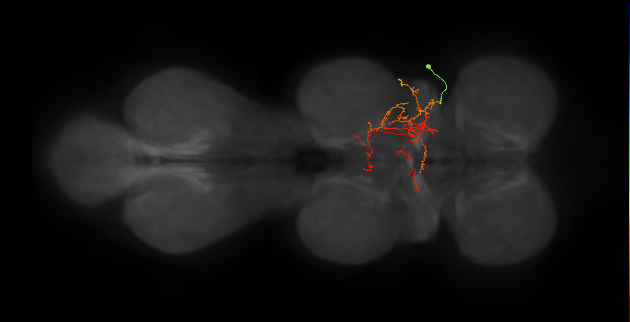 IN03B076_T1_R (MANC:163455)