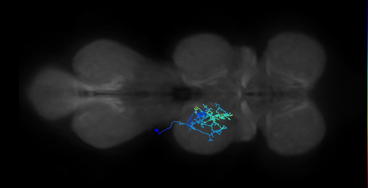 IN20A.22A008_T2_L (MANC:164115)