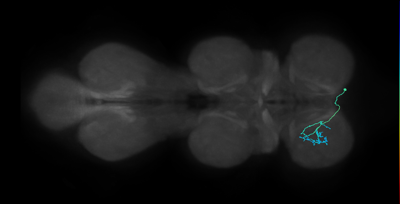 IN14A008_T1_R (MANC:165608)