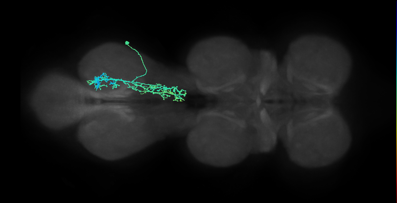 IN09A015_T3_R (MANC:165638)