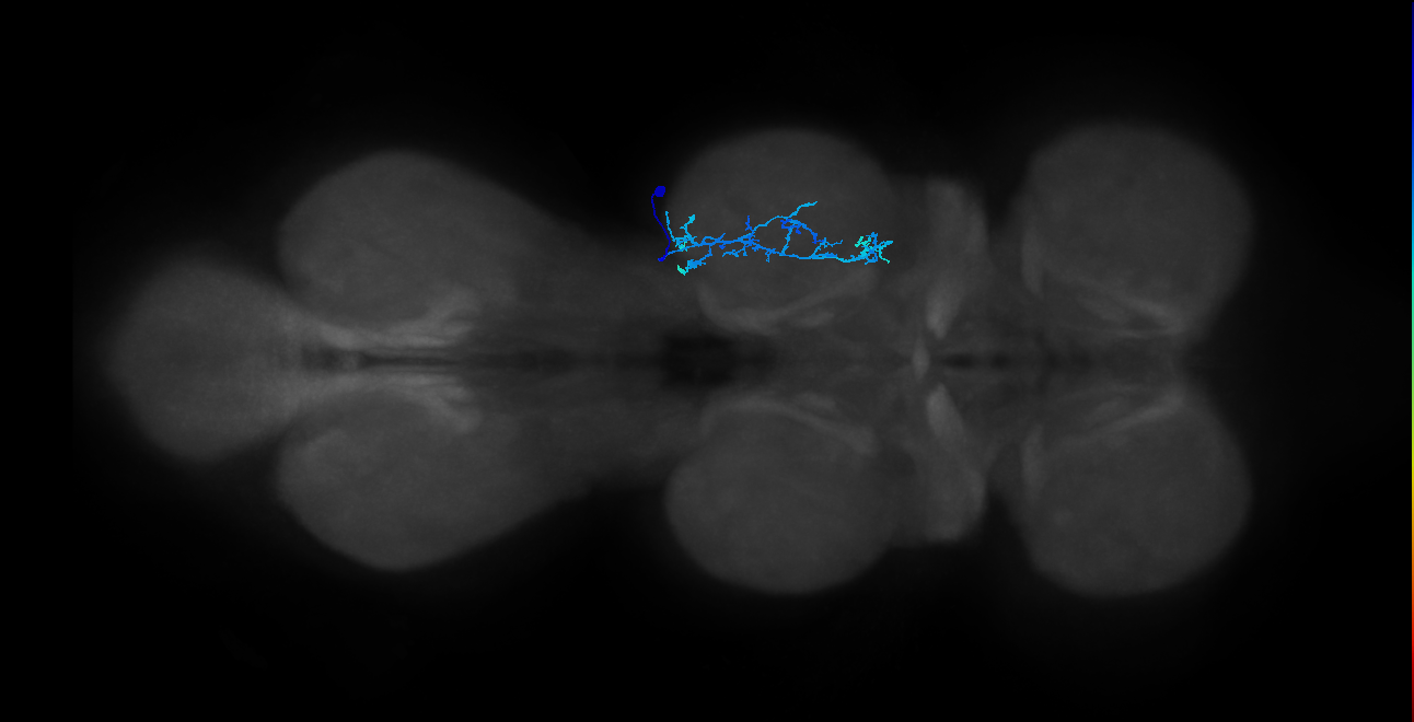 IN20A.22A026_T2_R (MANC:165657)