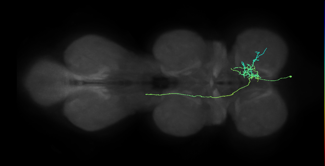 IN10B013_T1_R (MANC:166268)