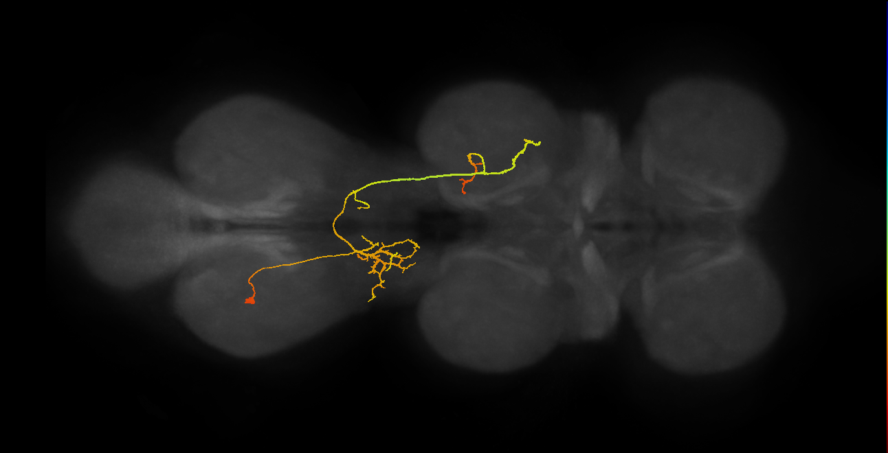 IN07B075_A1_L (MANC:166320)