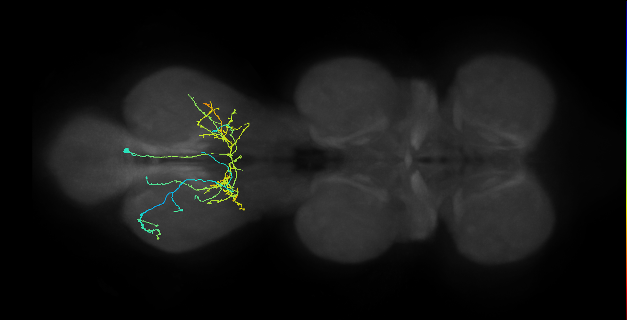 IN12B016_T3_R (MANC:166323)