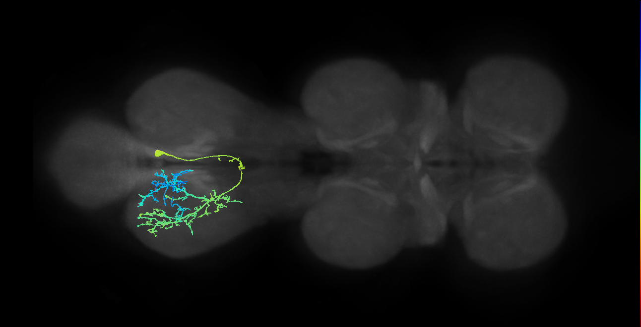 IN12B011_T3_R (MANC:166475)