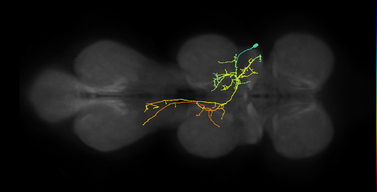 IN08B092_T2_R (MANC:166784)
