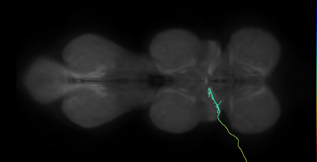 SNch03_ADMN_L (MANC:167380)
