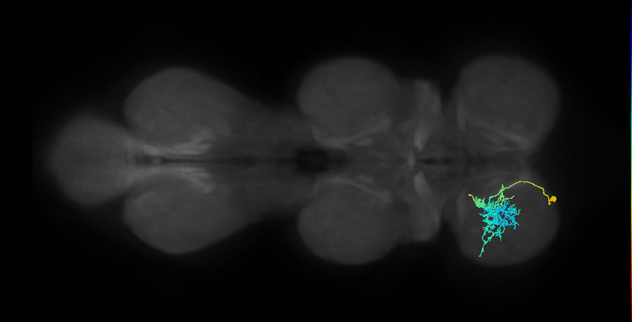 IN09A020_T1_L (MANC:168468)