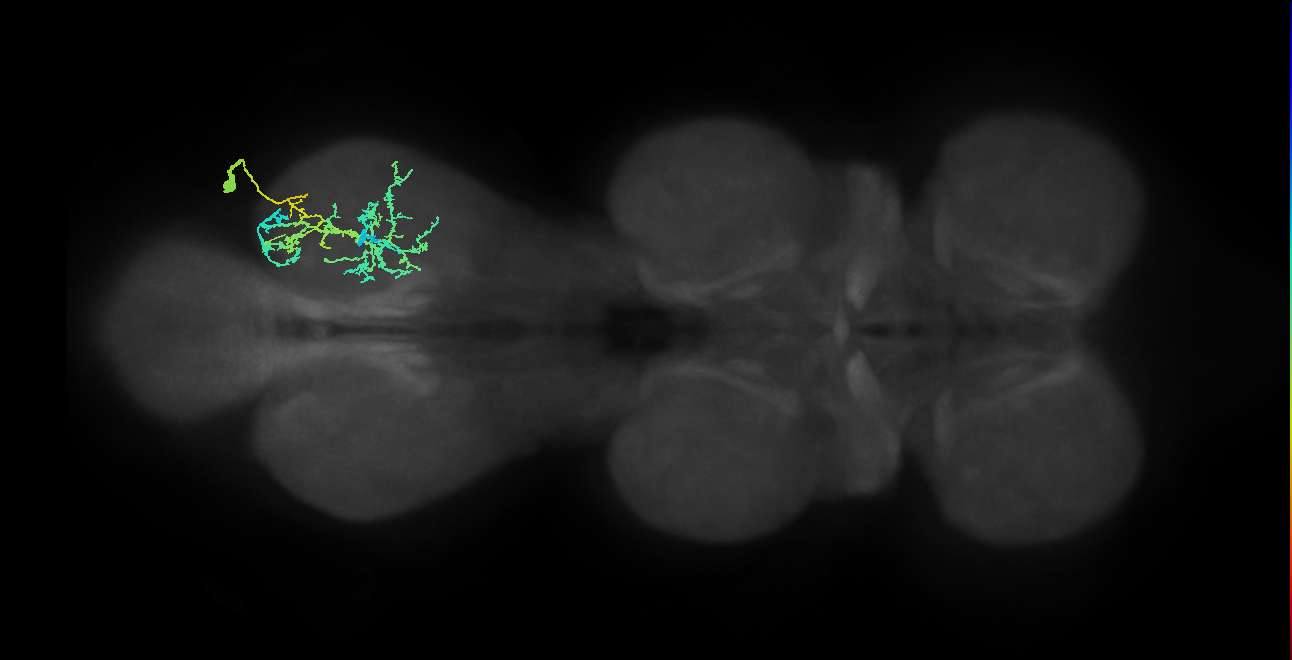 IN19A025_T3_R (MANC:171327)