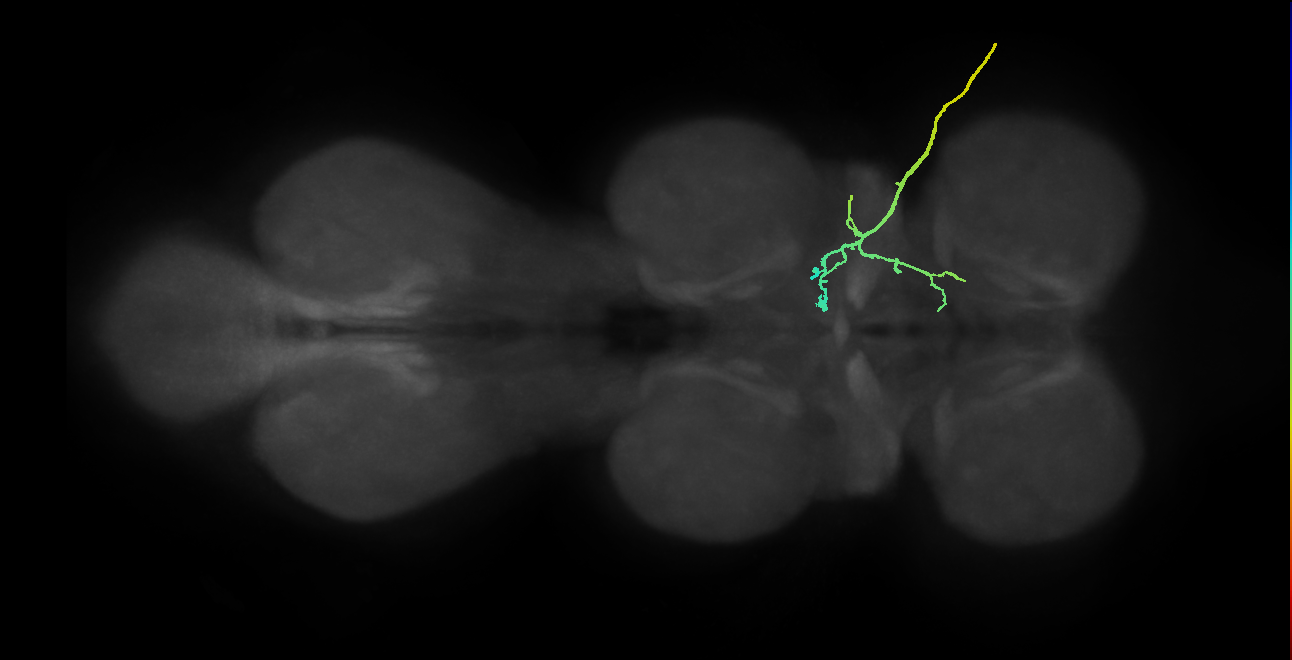 SNpp11_ADMN_R (MANC:172056)