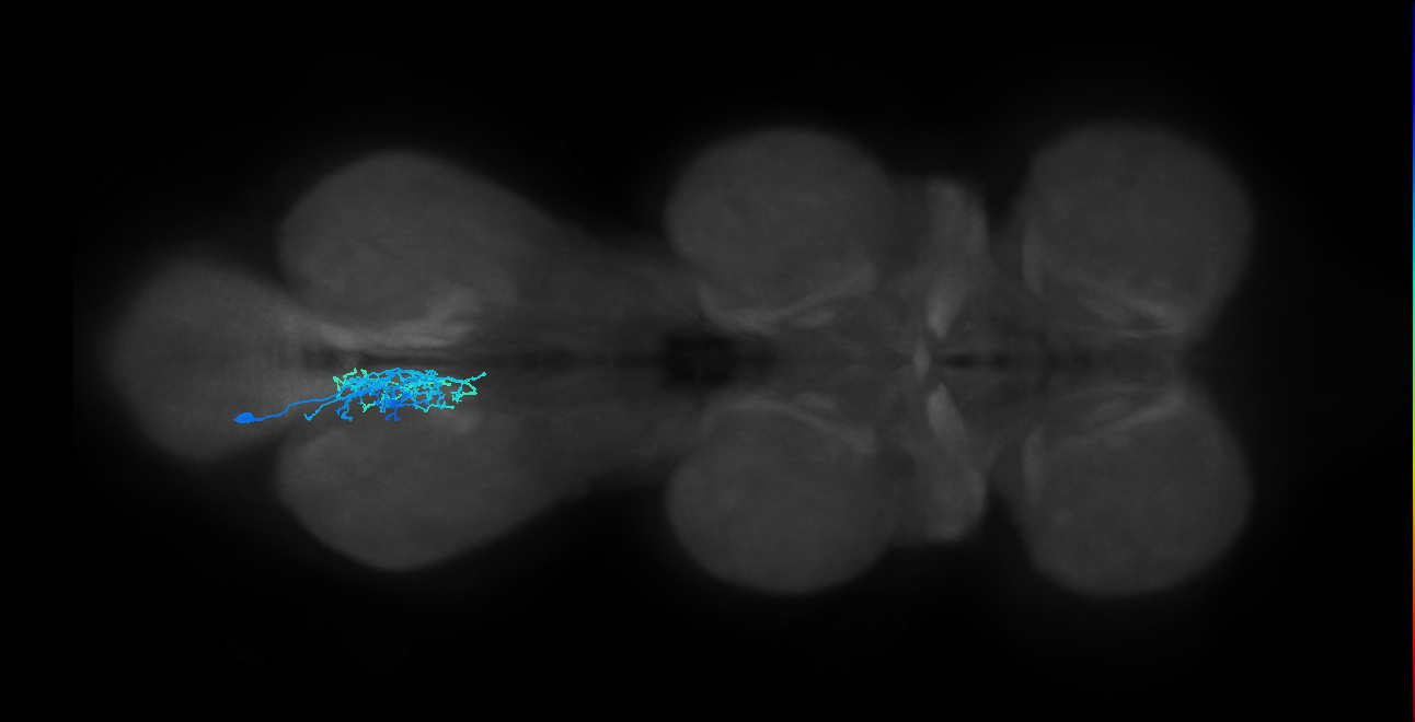 IN01B012_T3_L (MANC:172708)