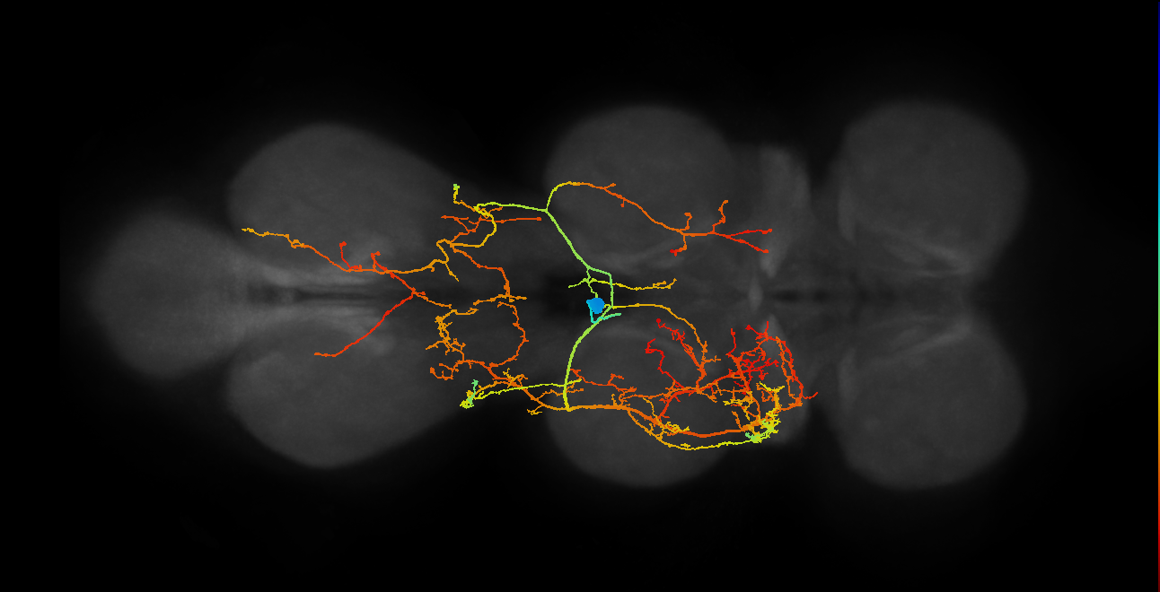 IN12B005_T2_L (MANC:186552)