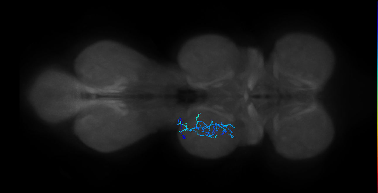 IN20A.22A026_T2_L (MANC:215567)