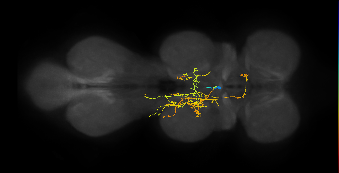 IN02A016_T2_L (MANC:33421186597)