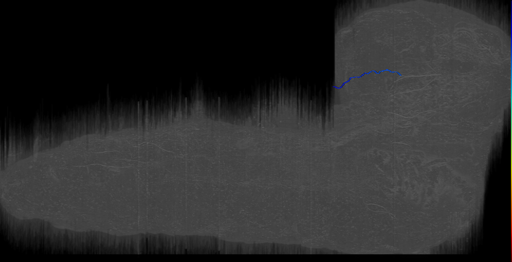 BLP34 b s 5 Right (L1EM:4127963)