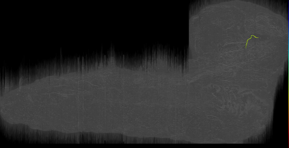 DAMd23 s 1 Left (L1EM:14267160)
