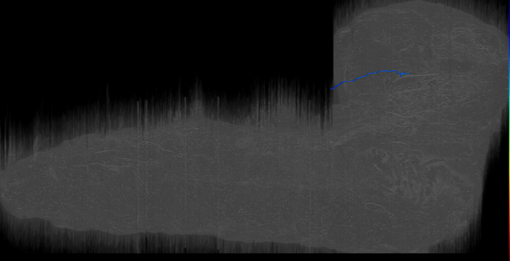 BLVp2 s 1 Right (L1EM:17380013)