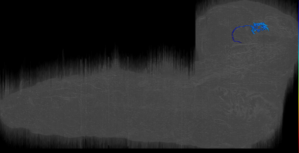 larval mushroom body two-step feedback neuron 7