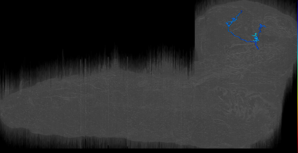 KC (L1EM:5836181)
