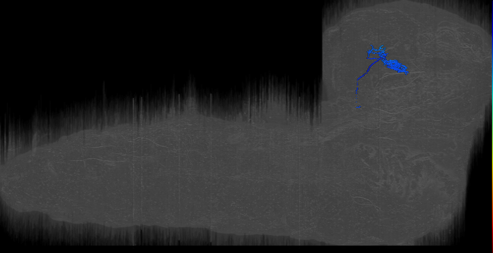 larval mushroom body output neuron b1