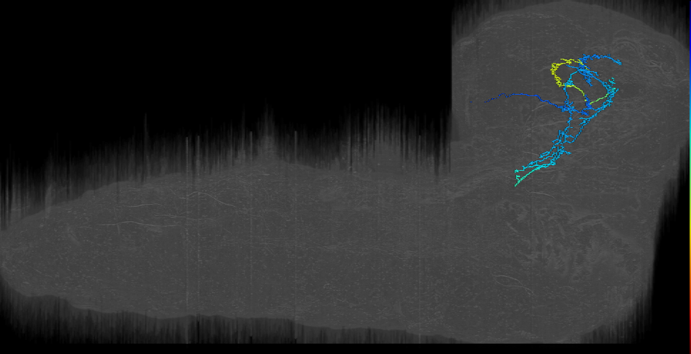 MB2IN-77 (L1EM:20443457)