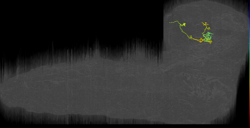 KC (L1EM:14898816)