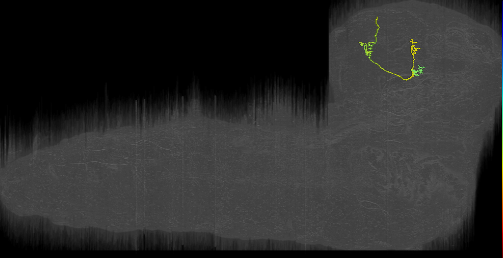 KC (L1EM:16440704)