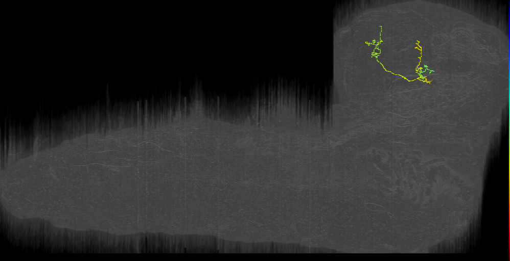 KC (L1EM:16939375)