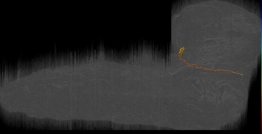 photoreceptor neuron
