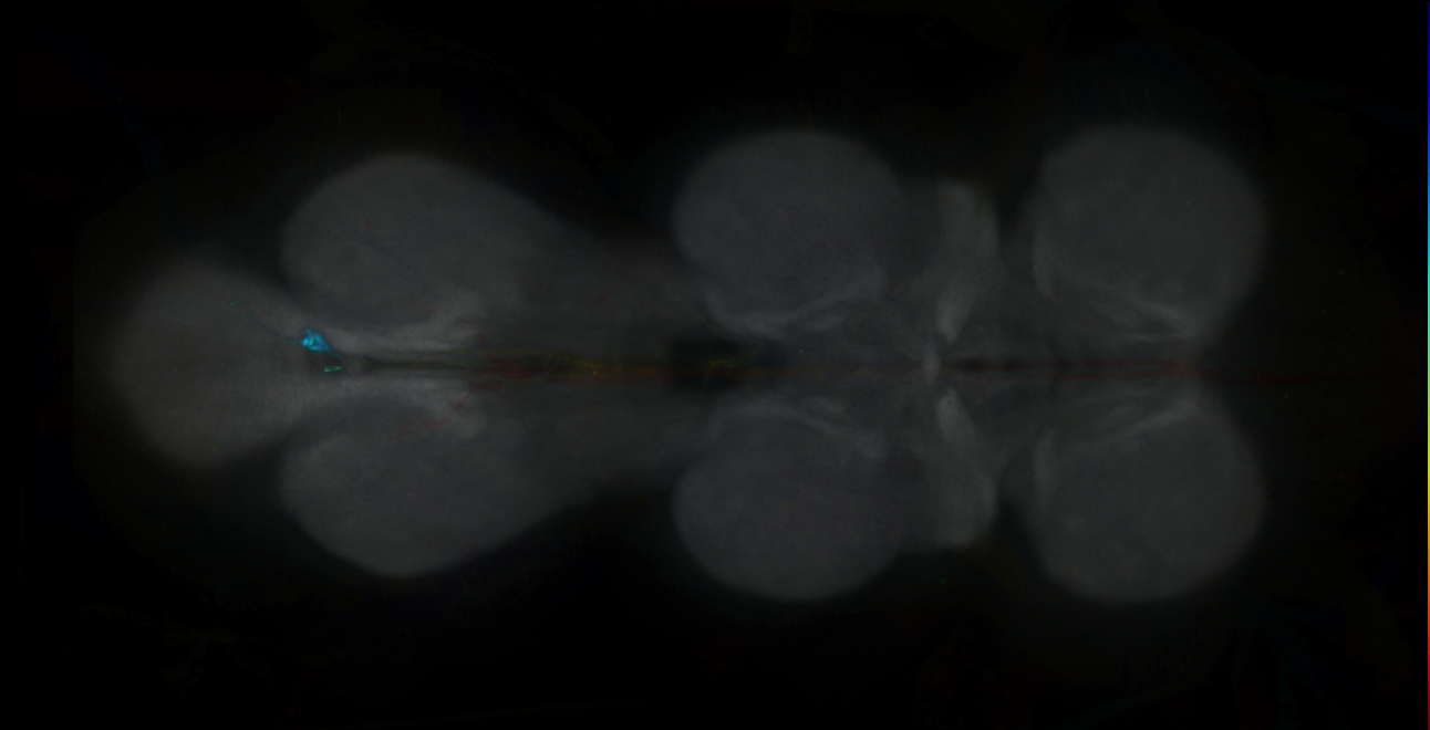 R46G03