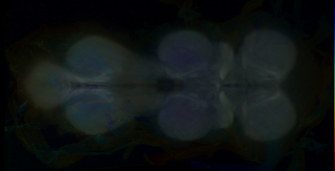 R46G05
