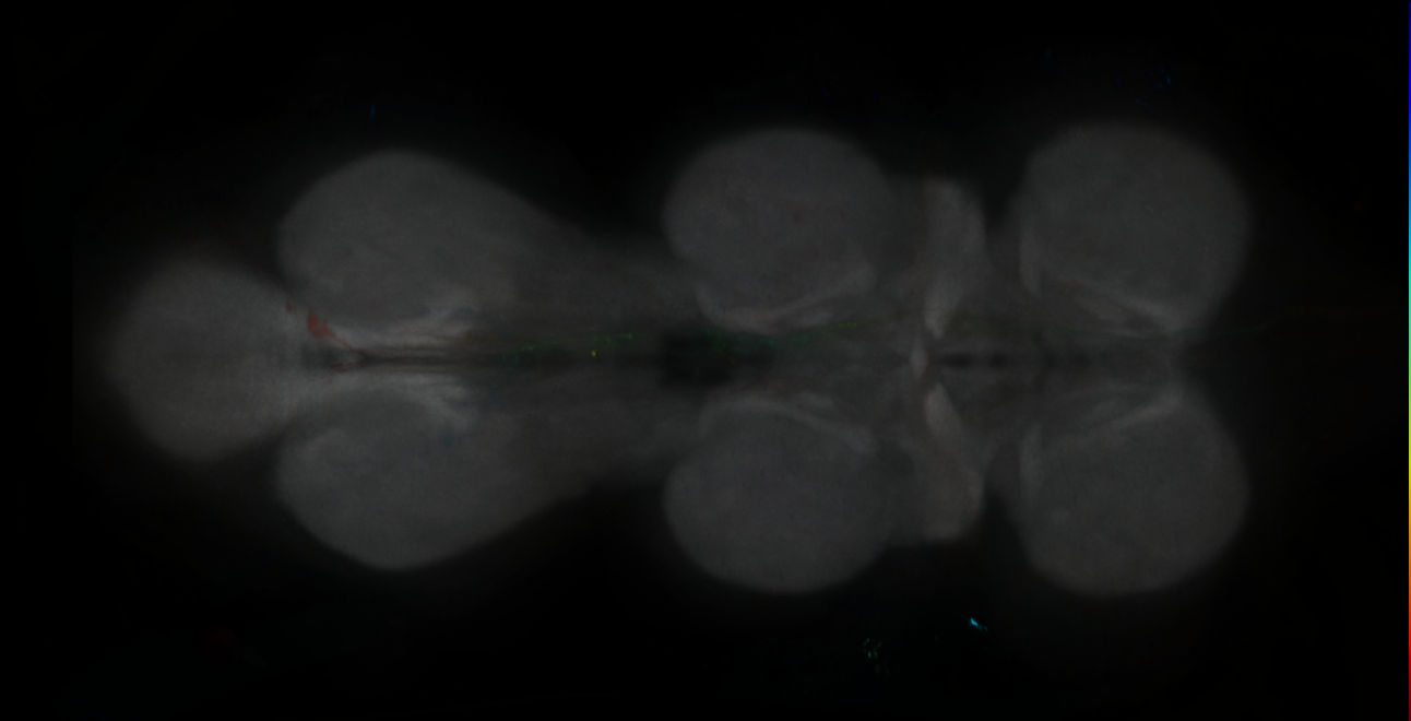 R46H02