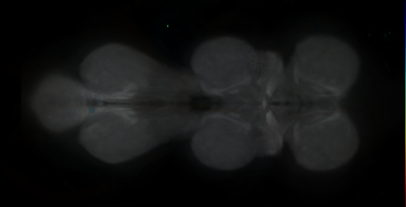 R46H09