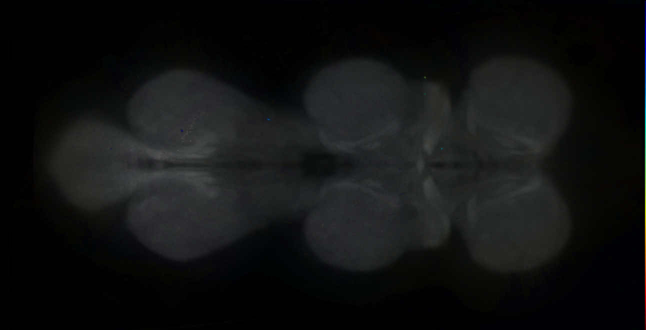 R47A09