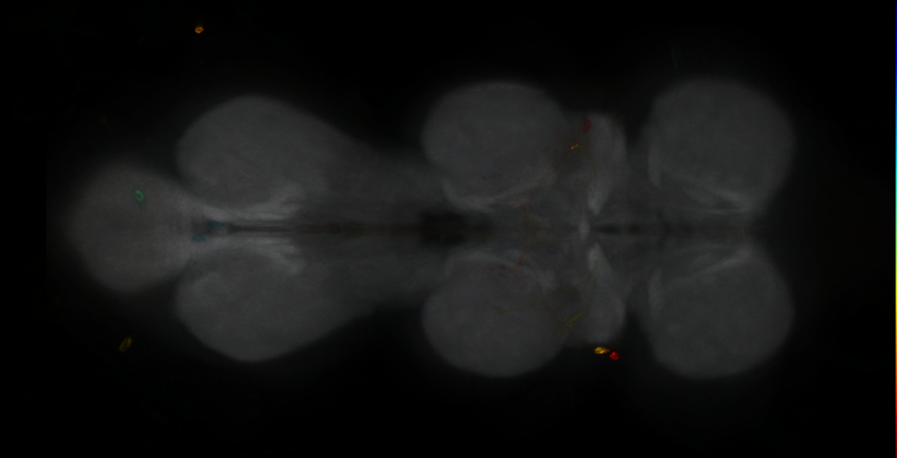 R47B07