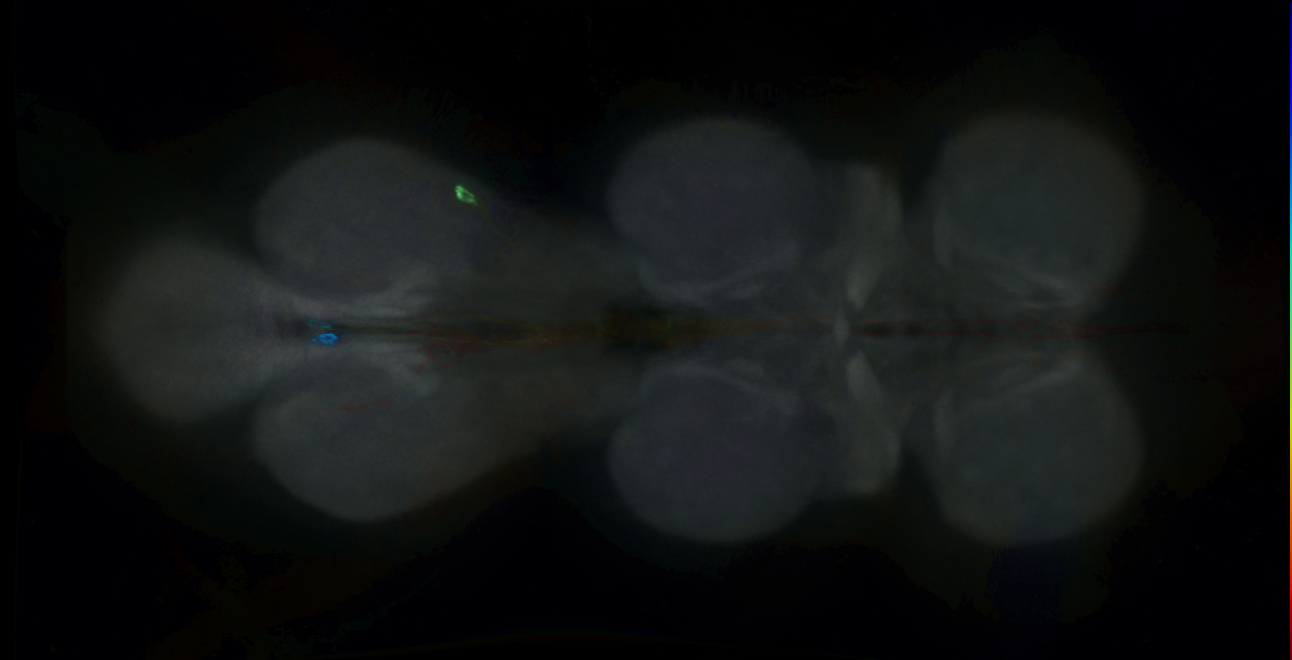 R47C01