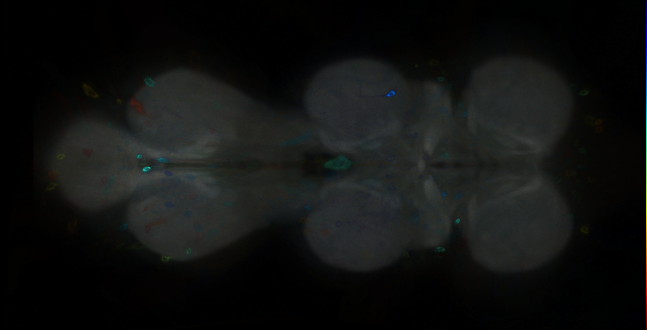 R47C06