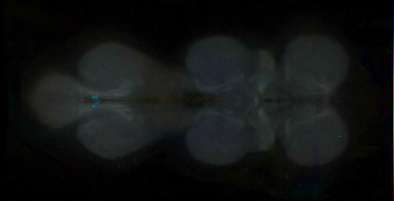 R47F05