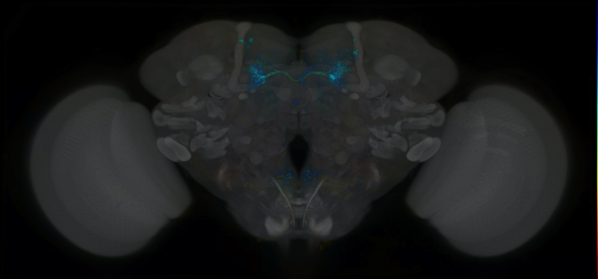 R48B03L