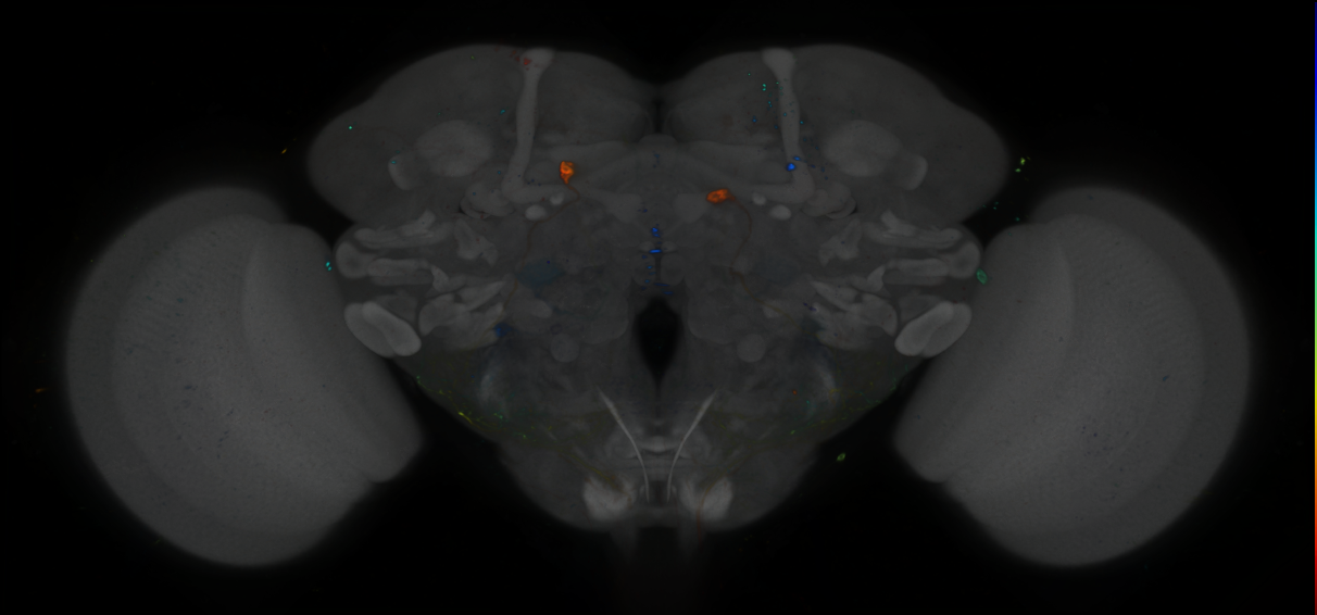 R47E06