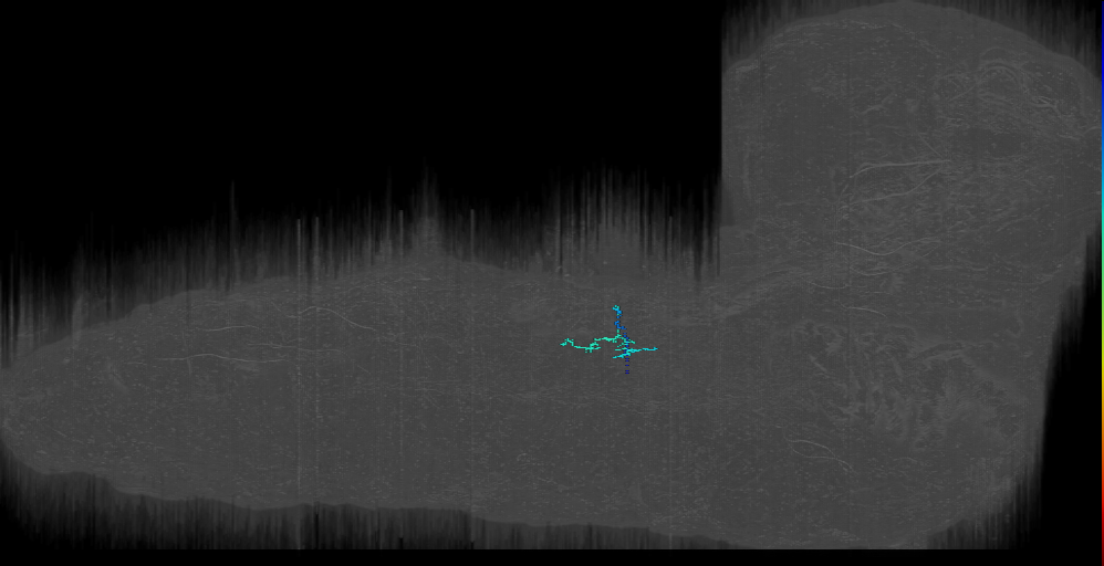dbd_t3r_JMpair5 (L1EM:14573136)