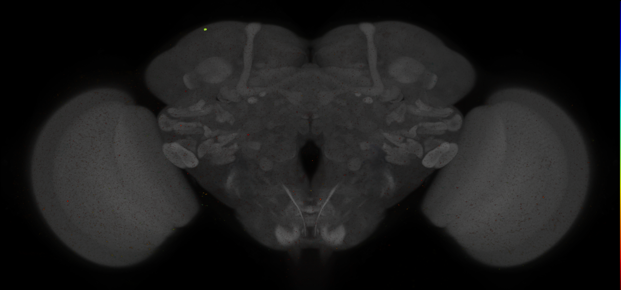 Grooming neurons and drivers (Hampel 2015)
