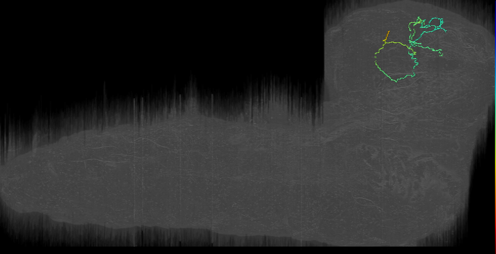 ITP candidate pair 2 left; ITP candidate 2 left (L1EM:3926904)