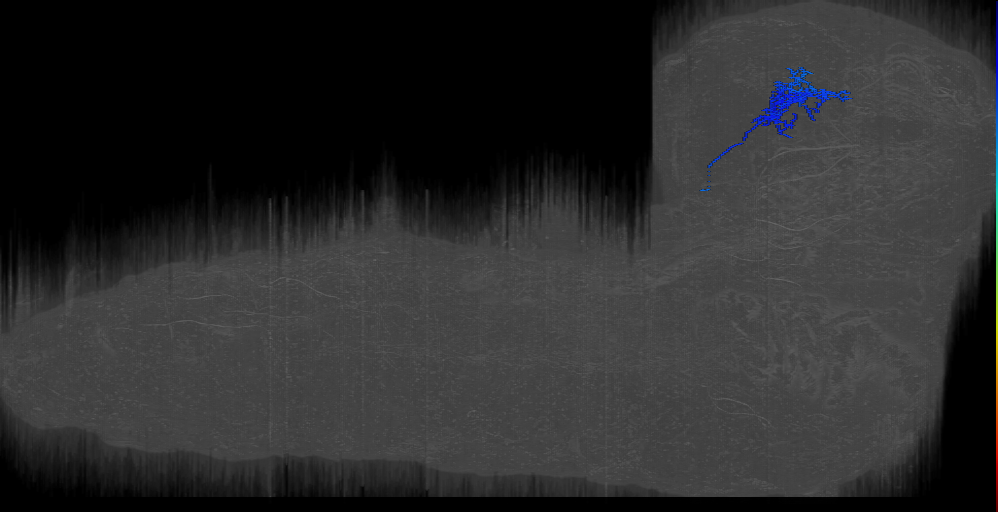 DL-LH_cand6_sibling right; BLVa12 a 7 (L1EM:17525174)
