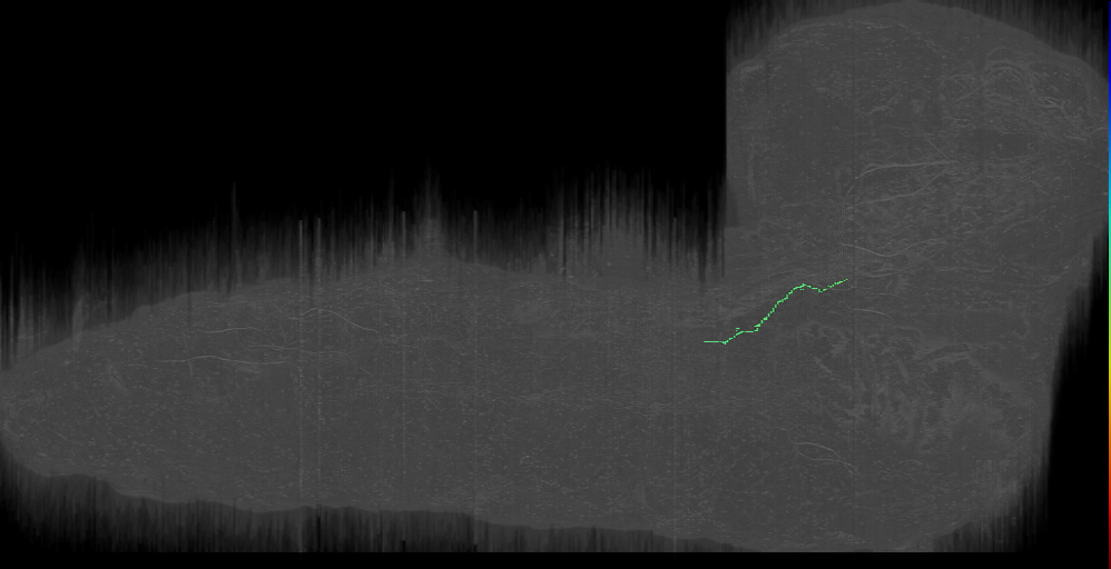 fragment? (L1EM:20559189)
