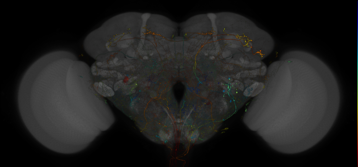 VT011323