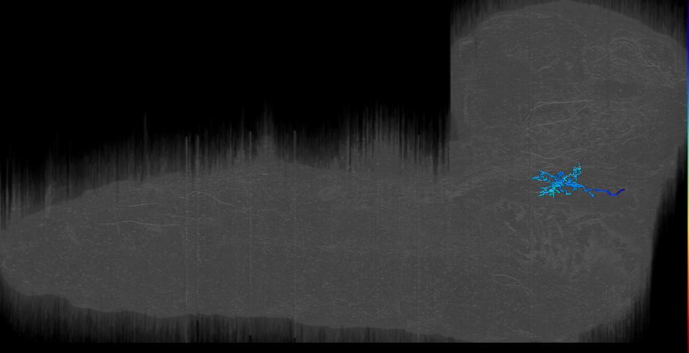 fork of GPhN (right) (L1EM:13190771)
