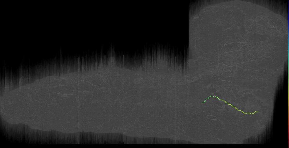 larval external sense organ gustatory receptor neuron