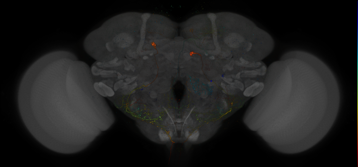 R47E06